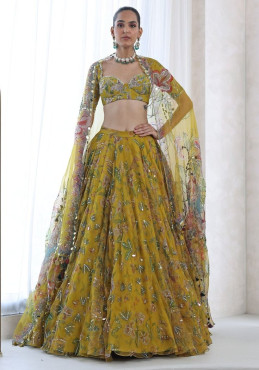 Lehenga with Crop Top